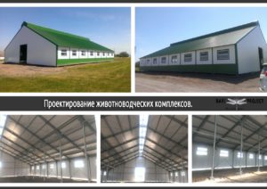 Проектирование животноводческих комплексов